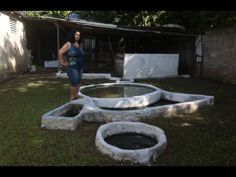El biogás penetra en las familias cubanas como beneficio energético